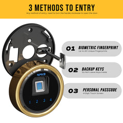 RPNB: 10 Gun Fireproof Biometric Digital Safe for Pistols and Rifles, Black RPFS10-B