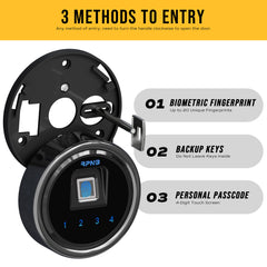 RPNB: 10 Gun Fireproof Biometric Fingerprint Safe for Pistols and Rifles, Grey, RPNB RPFS10-G