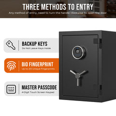 RPNB RPFS50 Deluxe Biometric Fireproof Safe with Touch Screen Keypad, 1.29 Cubic Feet