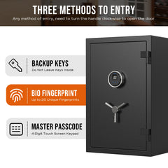 RPNB RPFS66 Deluxe Biometric Fireproof Safe with Touch Screen Keypad, 2.12 Cubic Feet