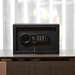 RPNB RP20ESA Electronic Home Safe with Digital Keypad Cabinet Safe, 0.3 Cubic Feet